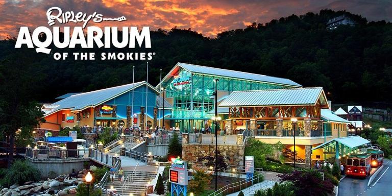 Вилла Modern Style, Arcade, Fire Pit, Pet Friendly Пиджен-Фордж Экстерьер фото